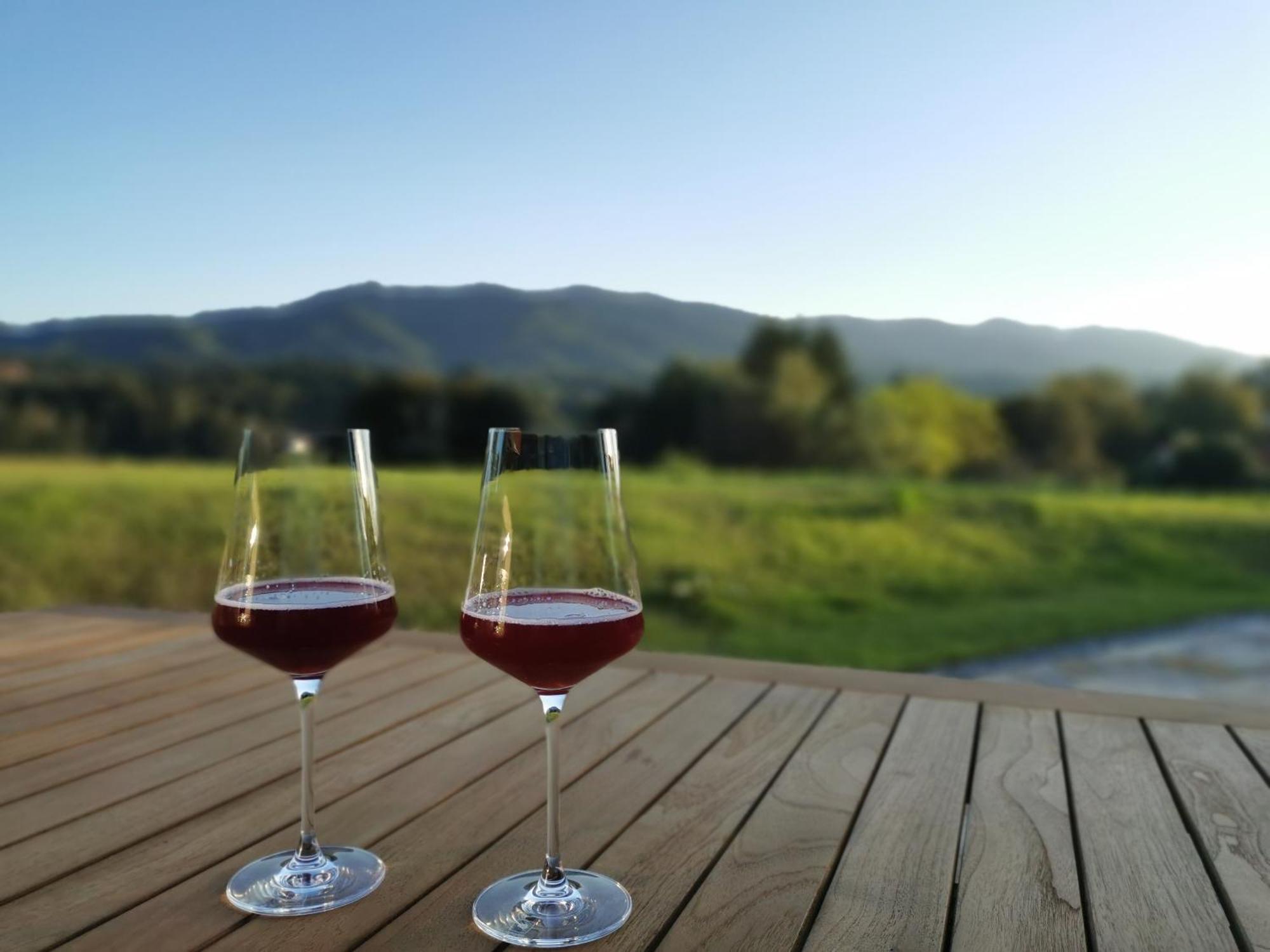 Traumhaftes Ferienhaus Am Lateinberg - 8455 Eibiswald Suedsteiermark Buitenkant foto