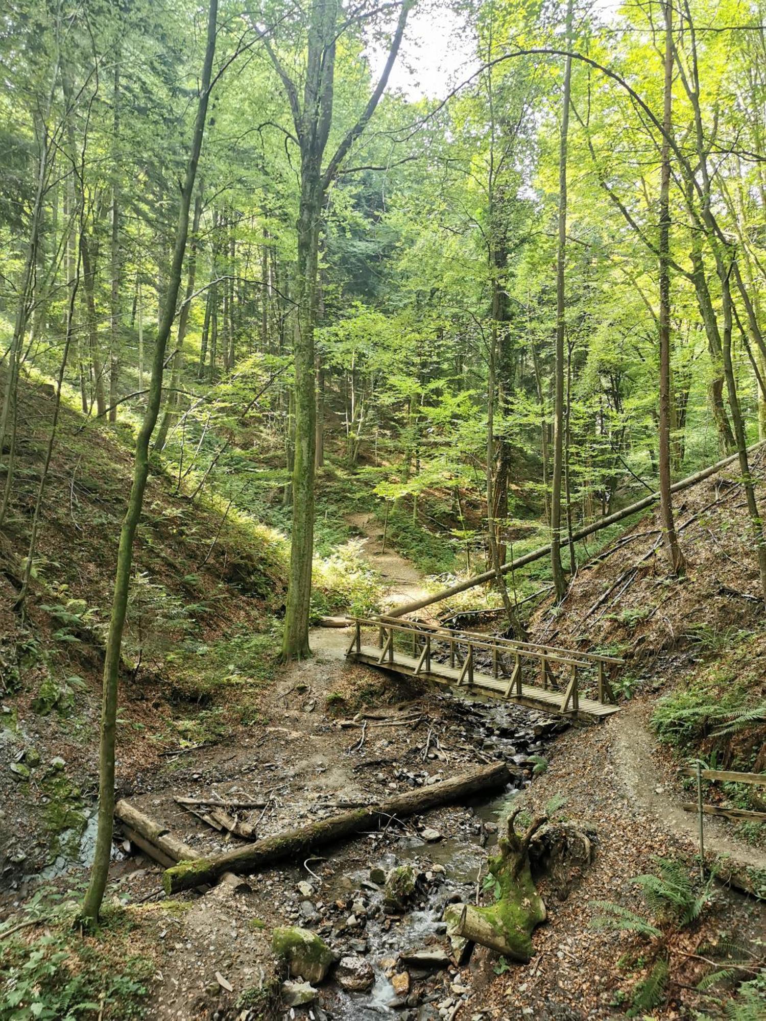 Traumhaftes Ferienhaus Am Lateinberg - 8455 Eibiswald Suedsteiermark Buitenkant foto