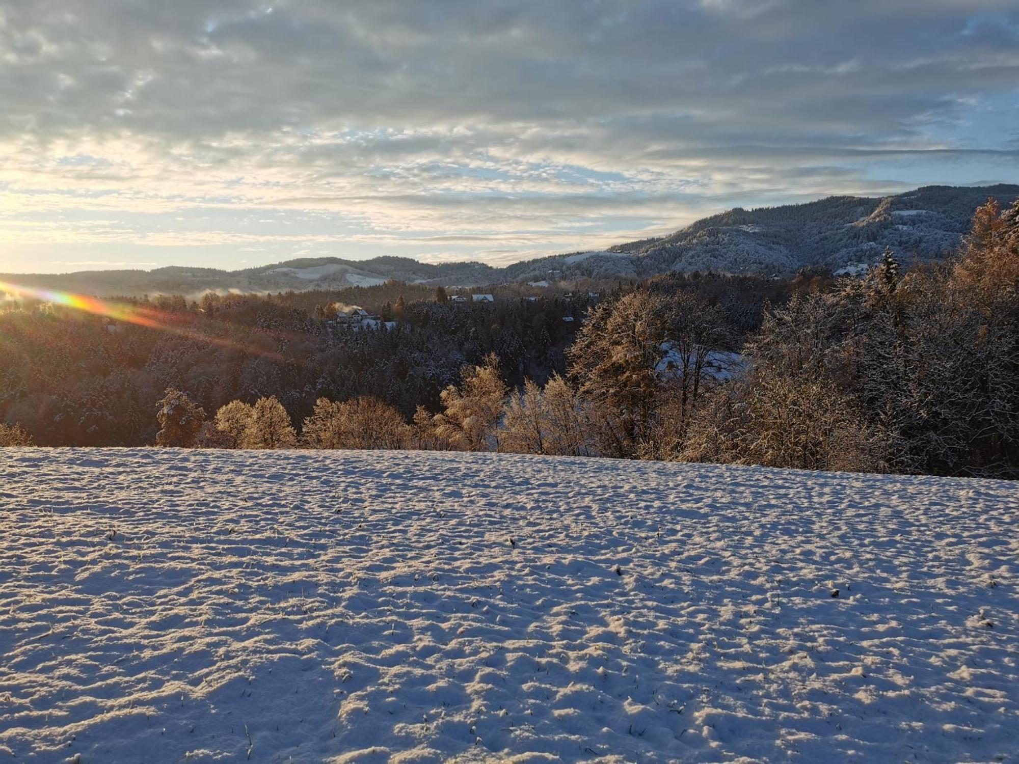 Traumhaftes Ferienhaus Am Lateinberg - 8455 Eibiswald Suedsteiermark Buitenkant foto