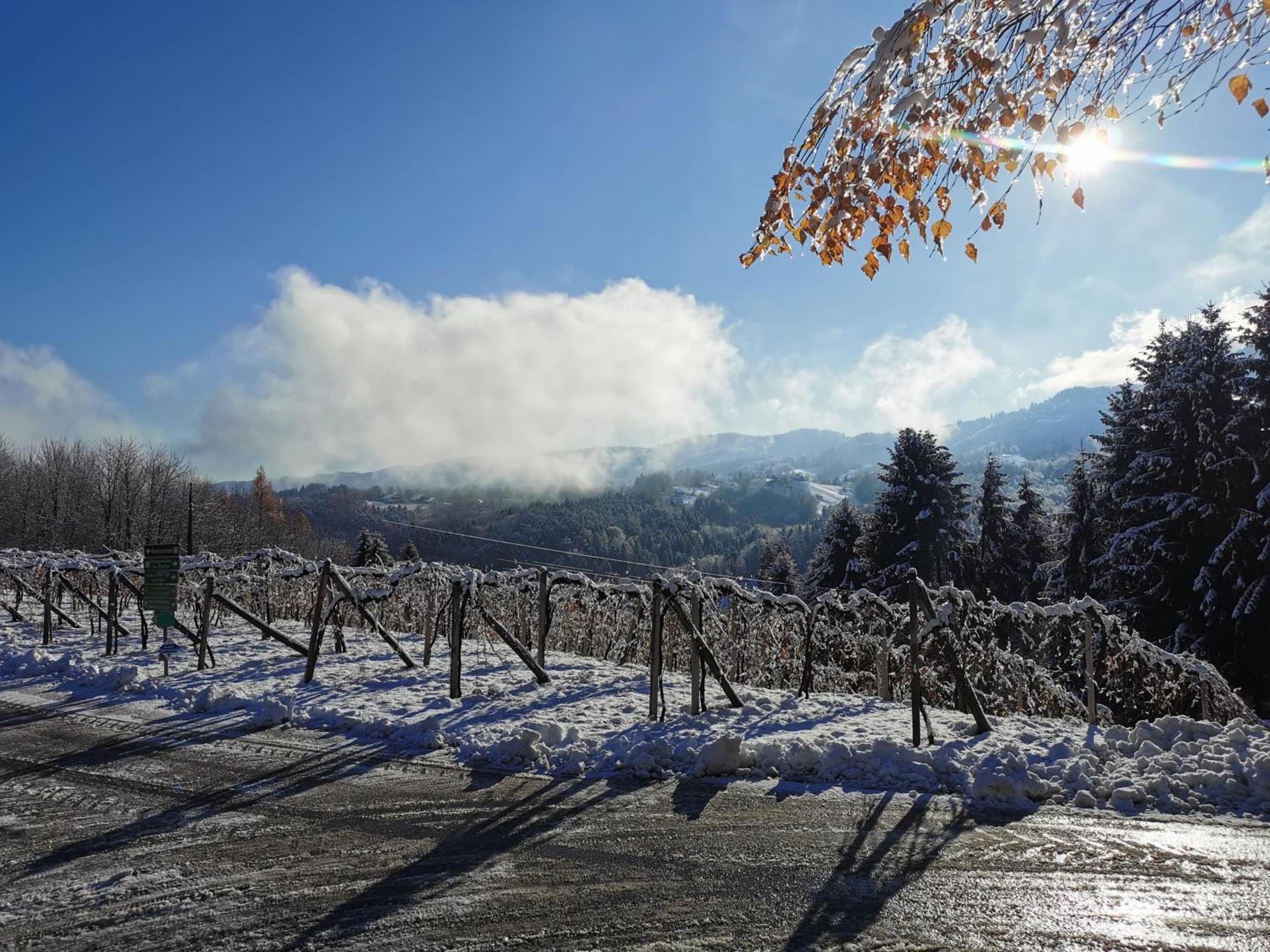 Traumhaftes Ferienhaus Am Lateinberg - 8455 Eibiswald Suedsteiermark Buitenkant foto